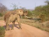 Parco Tsavo East 16